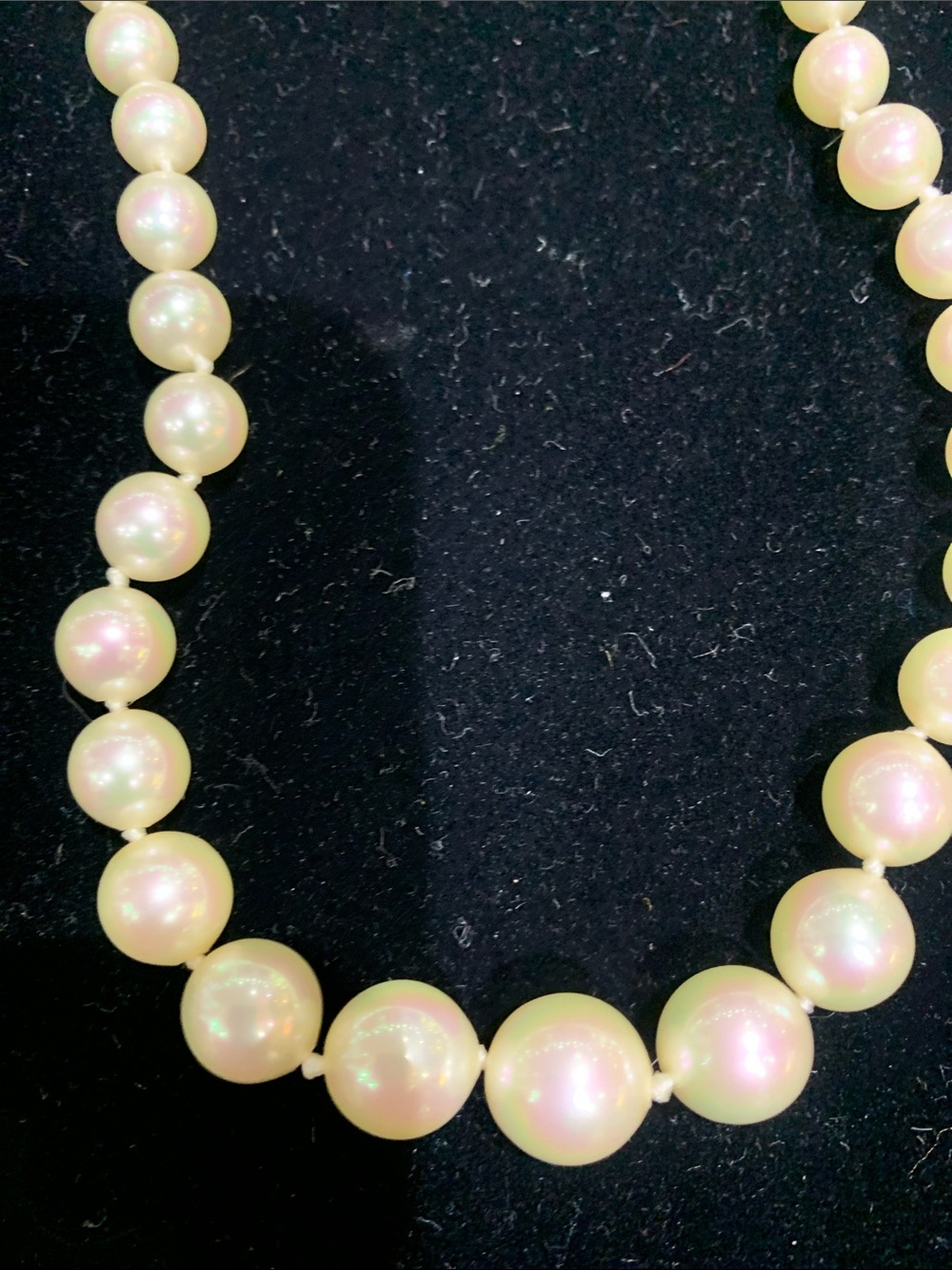 Classic Pearl Bead Necklace in Cream with Gold Clasp - Picture 3 of 4